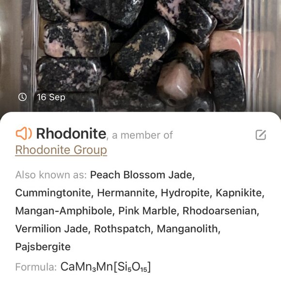 Genuine Gemstone Black Pink Rhodonite w/ Dog Person Pendant Short Necklace - Picture 14 of 15